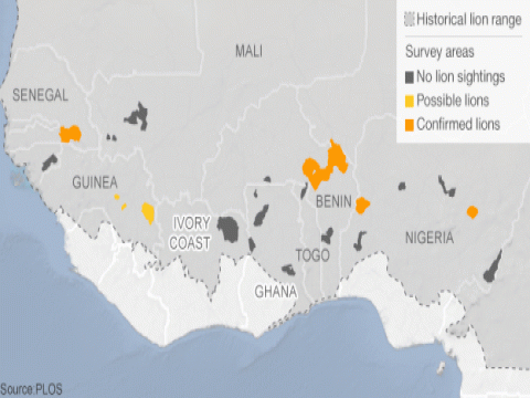 map of west africa's lions 2013