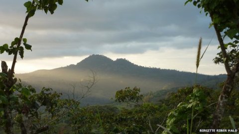 Bosawas-biosphere-reserve-nicaragua-rainforest-diversity-logging-development-threat