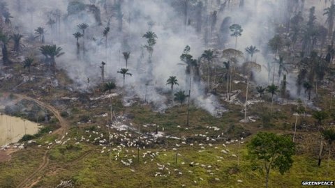 slash and burn deforestation in Para Brazil causing drought 2009