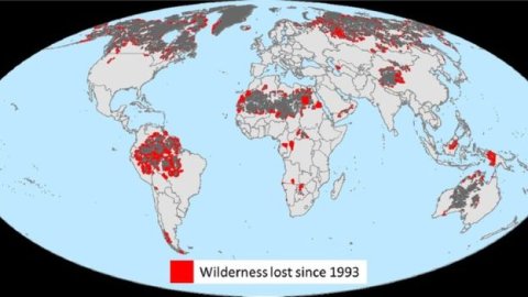 wilderness lost from 1993 to 2015 worldwide